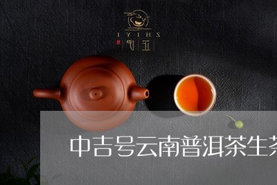 中吉号云南普洱茶生茶/2023062234945