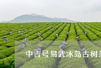 中吉号易武冰岛古树茶/2023061273936