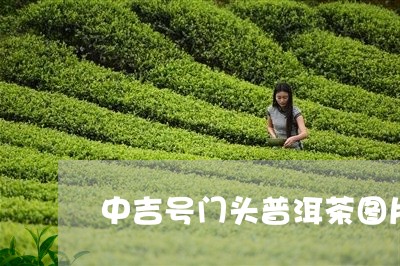 中吉号门头普洱茶图片/2023073168583