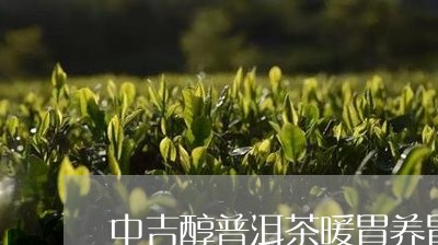 中吉醇普洱茶暖胃养胃/2023092710613