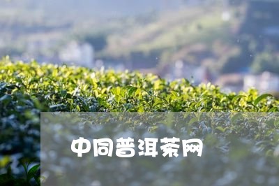 中同普洱茶网/2023042829785