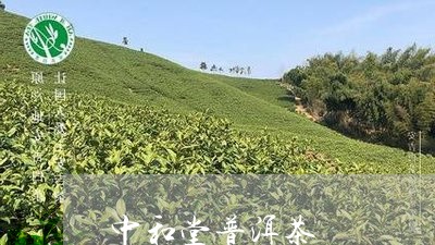 中和堂普洱茶/2023042778799