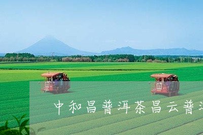 中和昌普洱茶昌云普洱茶熟茶/2023052783825