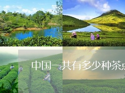 中国一共有多少种茶点/2023071441694