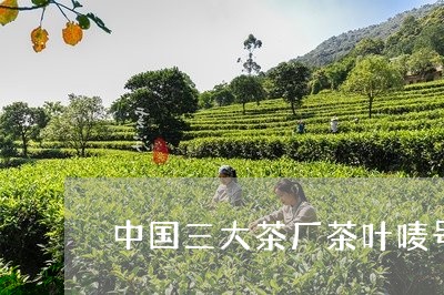 中国三大茶厂茶叶唛号什么意思/2023053140481