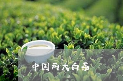 中国两大白茶/2023051236251