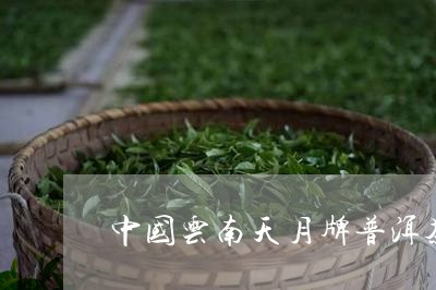 中国云南天月牌普洱茶/2023093086260