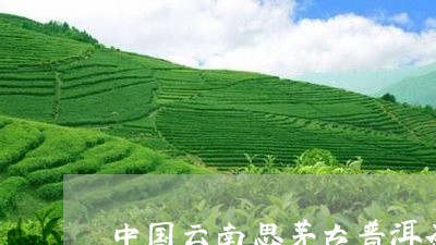 中国云南思茅古普洱茶/2023080161682