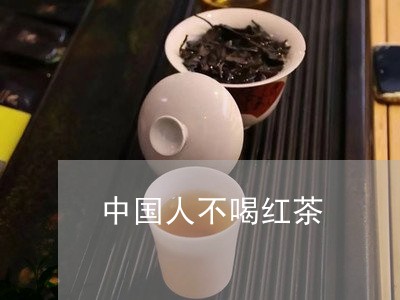 中国人不喝红茶/2023042942625