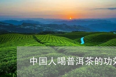 中国人喝普洱茶的功效/2023061686270