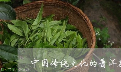 中国传统文化的普洱茶/2023072205161