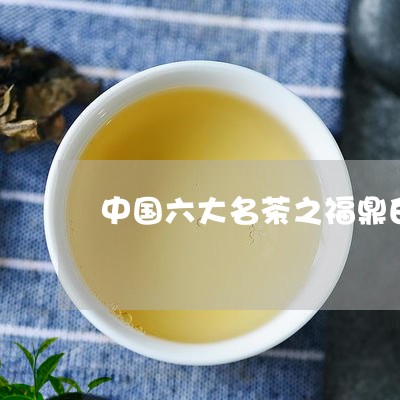 中国六大名茶之福鼎白茶/2023092151594