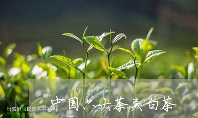 中国六大茶类白茶/2023061450373