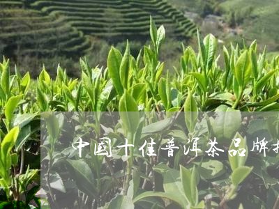 中国十佳普洱茶品牌排行榜/2023051069705