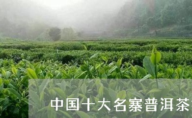 中国十大名寨普洱茶排名/2023103195273