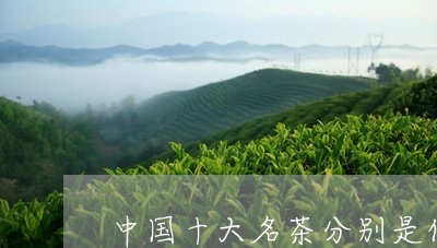 中国十大名茶分别是什么茶名/2023052673724