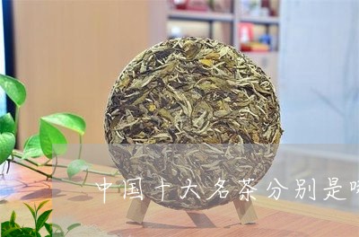 中国十大名茶分别是哪类茶/2023051189592