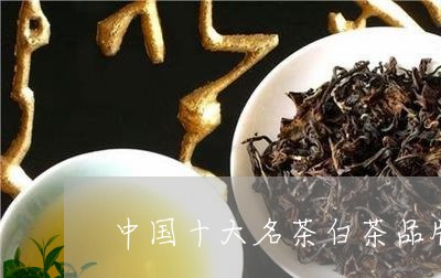 中国十大名茶白茶品牌/2023092763794