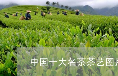 中国十大名茶茶艺图片/2023071574047