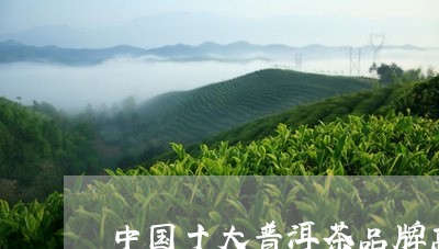 中国十大普洱茶品牌高端普洱茶品牌/2023060366268