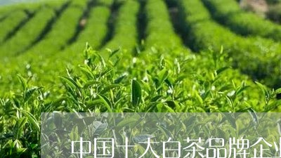 中国十大白茶品牌企业/2023092779583