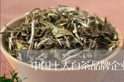 中国十大白茶品牌企业排名前十/2023111470591