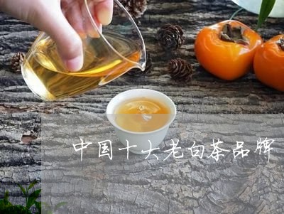 中国十大老白茶品牌/2023121614938