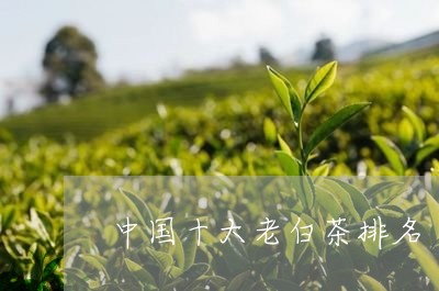 中国十大老白茶排名/2023121617160