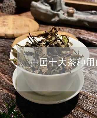 中国十大茶种用的方法/2023071632813