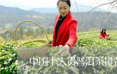 中国十大贵普洱茶排名/2023112461828