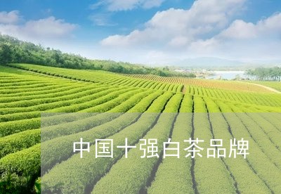 中国十强白茶品牌/2023061473804