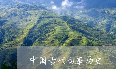 中国古代白茶历史/2023061429581