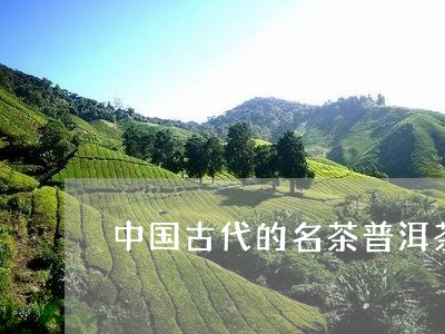 中国古代的名茶普洱茶/2023092871603