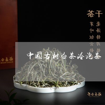 中国古树白茶冷泡茶/2023121653724