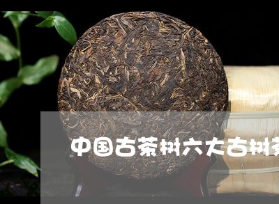 中国古茶树六大古树茶/2023071618268