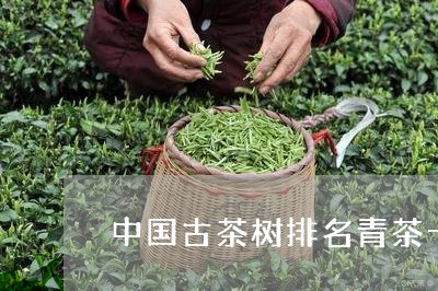 中国古茶树排名青茶十大排名/2023052690404