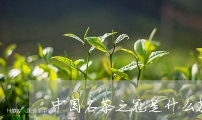 中国名茶之冠是什么茶/2023071507593