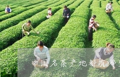 中国名茶产地都有哪里/2023092095050