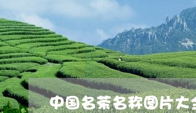 中国名茶名称图片大全/2023071536948