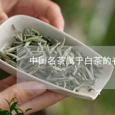 中国名茶属于白茶的有/2023092746262