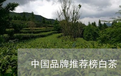 中国品牌推荐榜白茶/2023121664069