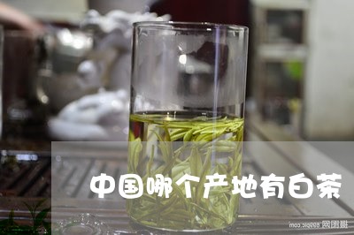 中国哪个产地有白茶/2023121663815