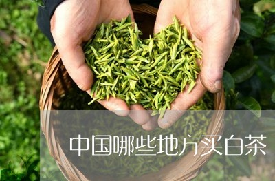 中国哪些地方买白茶/2023121616138