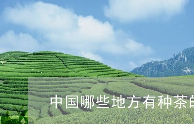 中国哪些地方有种茶的/2023092004168