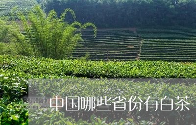中国哪些省份有白茶/2023121661392