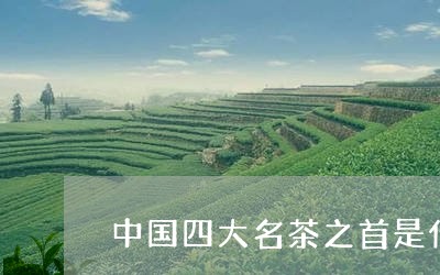 中国四大名茶之首是什么茶/2023051155849