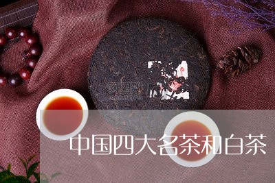 中国四大名茶和白茶/2023121563938