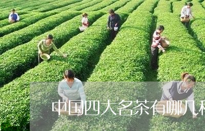 中国四大名茶有哪几种/2023092023837