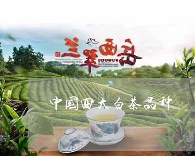 中国四大白茶品种/2023061438462