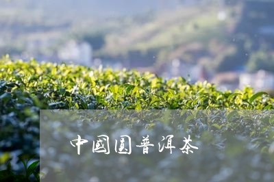 中国圆普洱茶/2023081868469